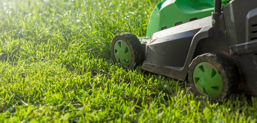 Closeup of lawnmower mowing grass on a sunny day.