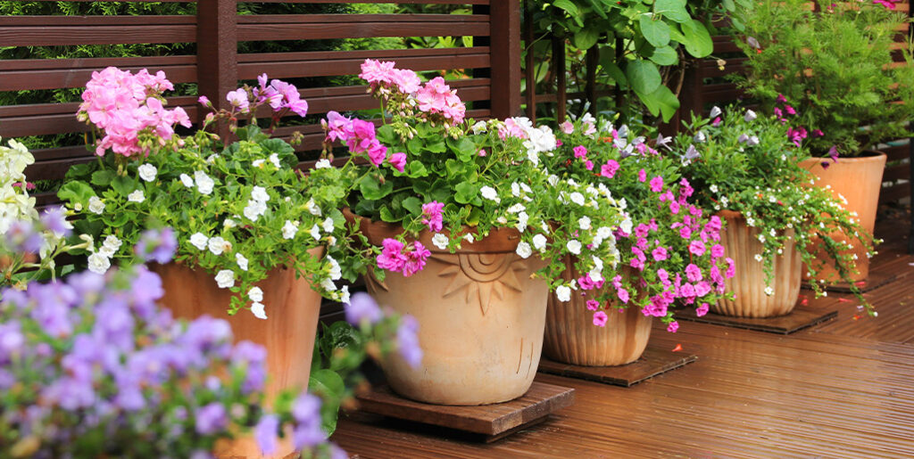 Planter pots on deck outside home.